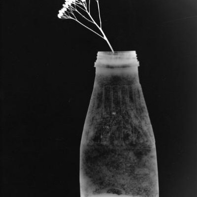 Flasche 1, 2010 / photogram on silver gelatin paper / ca. 24 x 30,5 cm