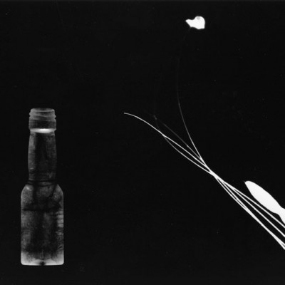 Flasche und Blume, 2010 / photogram on silver gelatin paper / ca. 24 x 30,5 cm