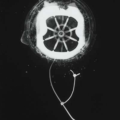 Blume 10, 2011 / photogram on silver gelatin paper / ca. 30,5 x 40,6 cm