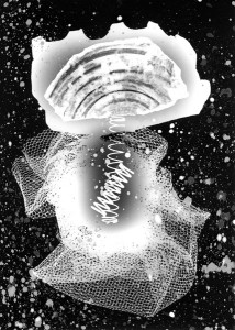 Abisal 1, 2012 / photogram on silver bromide paper / ca. 13 x 18 cm