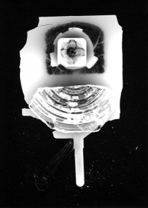 Abisal 4, 2012 / photogram on silver bromide paper / ca. 13 x 18 cm