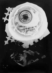 Abisal 6, 2012 / photogram on silver bromide paper / ca. 13 x 18 cm