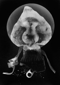 Abisal 7, 2012 / photogram on silver bromide paper / ca. 13 x 18 cm