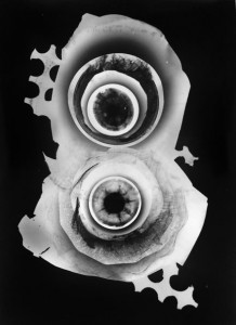 Abisal 15, 2012 / photogram on silver bromide paper / ca. 13 x 18 cm