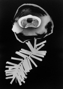 Abisal 19, 2012 / photogram on silver bromide paper / ca. 13 x 18 cm