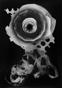 Abisal 22, 2012 / photogram on silver bromide paper / ca. 13 x 18 cm