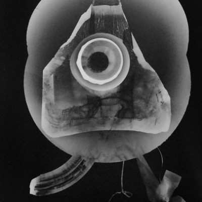 Abisal 28, 2012 / photogram on silver bromide paper / ca. 13 x 18 cm