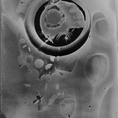 Abisal 36, 2013 / photogram on silver bromide paper / ca. 13 x 18 cm