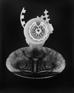Abisal 40, 2013 / photogram on silver gelatin paper / ca. 18 x 24 cm