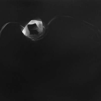 Lichtspiel 008, 2013 / photogram on silver gelatin paper / ca. 30,5 x 40,6 cm